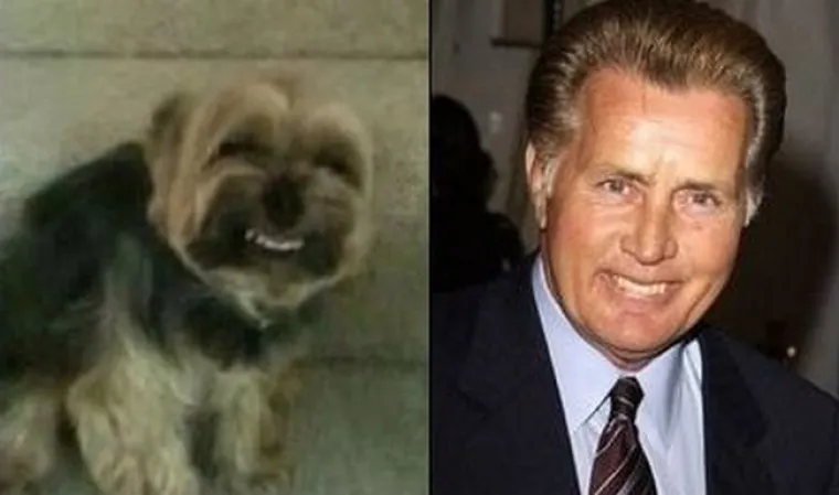 I mi u Hrvatskoj primjera imamo, upoznajte mačku Mesića i psića Mrak-Tarita&scaron;