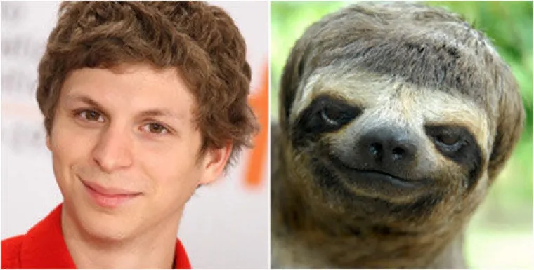 I mi u Hrvatskoj primjera imamo, upoznajte mačku Mesića i psića Mrak-Tarita&scaron;