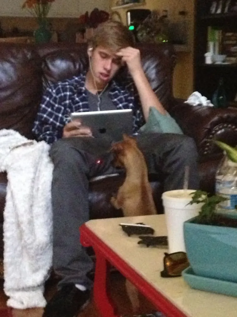 OSJEĆATE LI NA OVIM FOTKAMA SRDŽBU I BOL? Nastale su trenutak uoči potpunih katastrofa