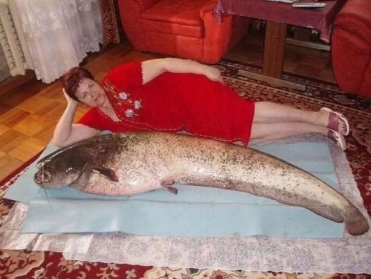Ovi ljudi se najozbiljnije nadaju da će uz ovakve fotografije naći srodne duše