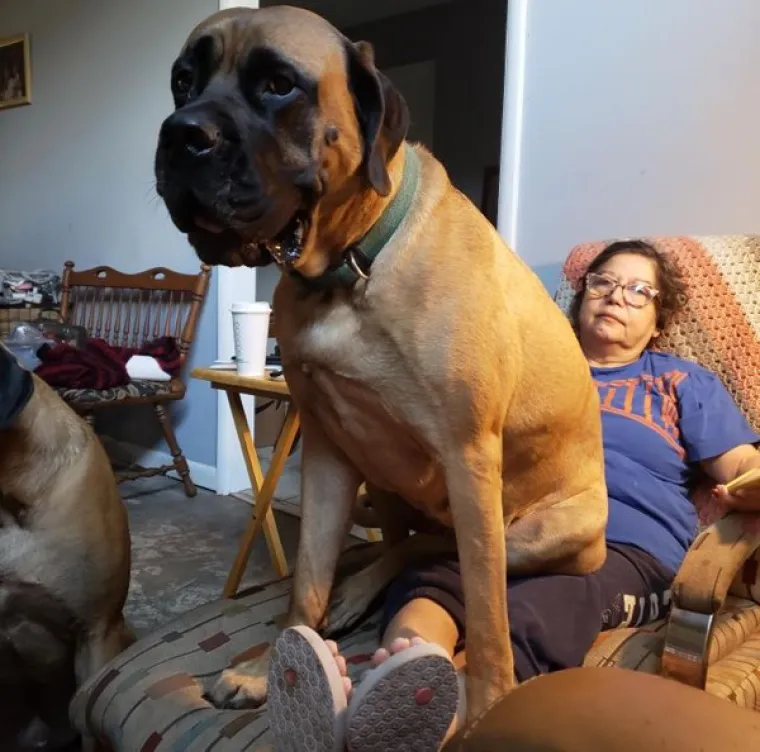 Mali je problem &scaron;to su u međuvremenu 'malo' narasli pa ne stanu na kauč, a kamoli u krilo