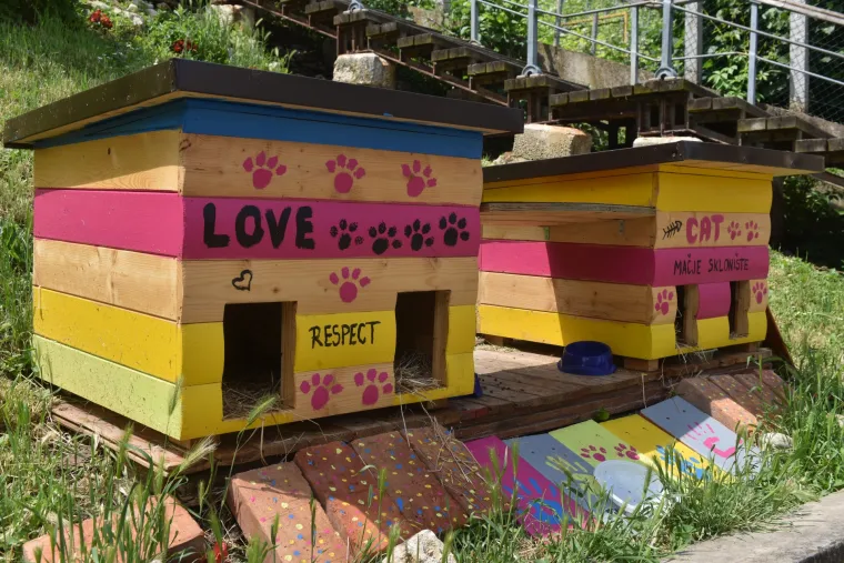 U Zagrebu prvo legalno hranili&scaron;te uličnih mačaka