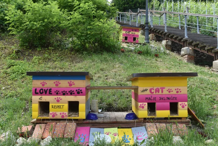 U Zagrebu prvo legalno hranili&scaron;te uličnih mačaka
