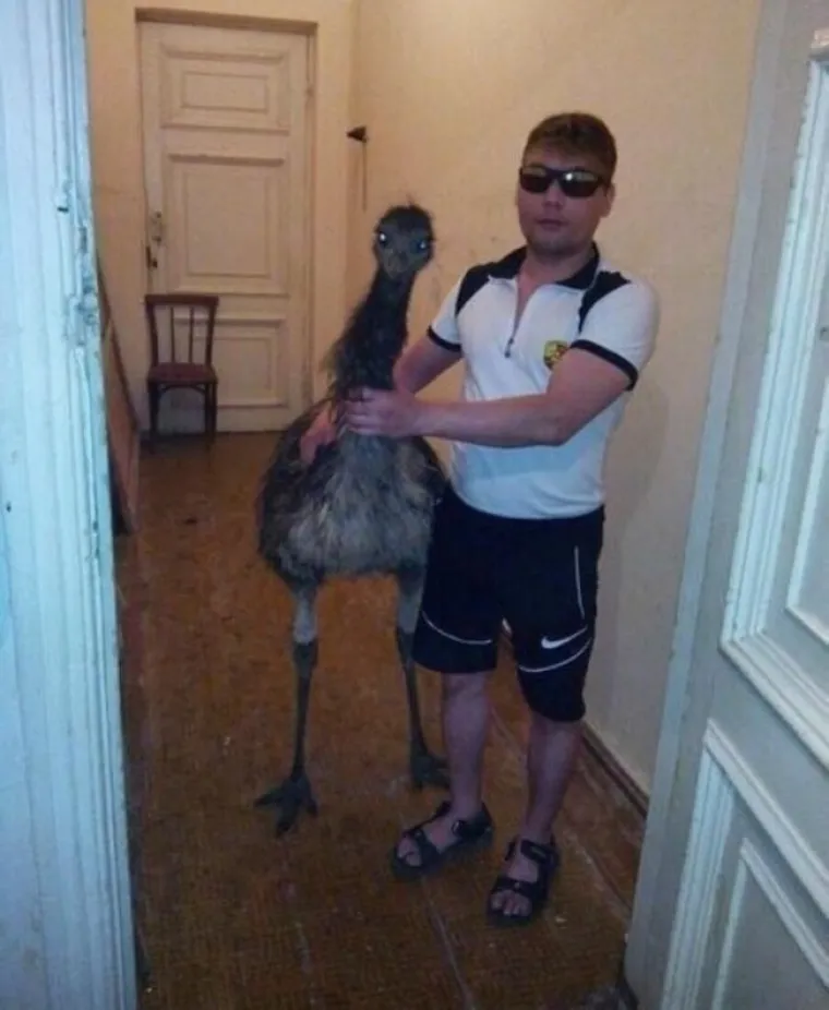 Ove fotografije savr&scaron;eno obja&scaron;njavaju za&scaron;to izvanzemaljci ne žele kontaktirati s nama