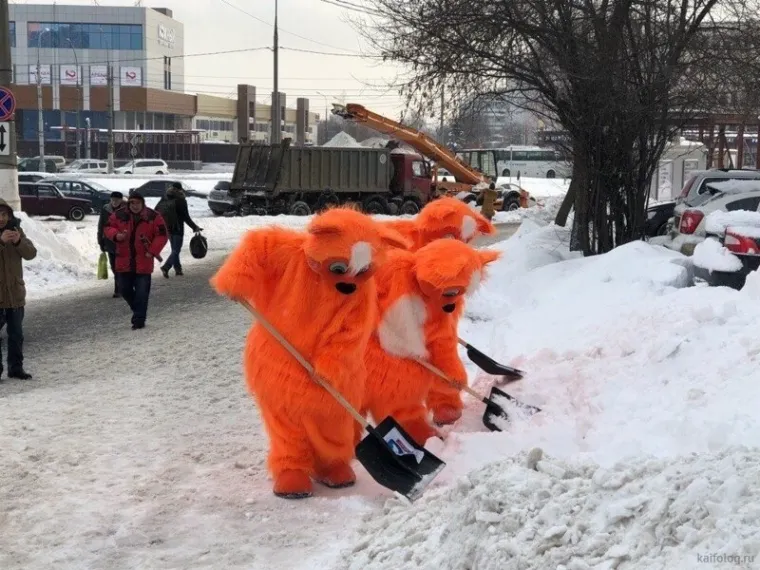 Ove fotografije savr&scaron;eno obja&scaron;njavaju za&scaron;to izvanzemaljci ne žele kontaktirati s nama