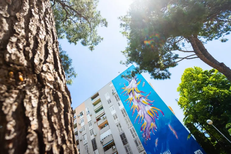 Dočekali su 'najvećeg malog morskog puža', oslikali im 300 metara četvornih veliku sliku pužića inače veličine tek 12 mm