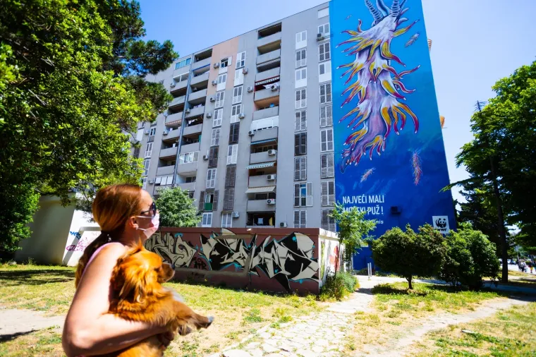 Dočekali su 'najvećeg malog morskog puža', oslikali im 300 metara četvornih veliku sliku pužića inače veličine tek 12 mm
