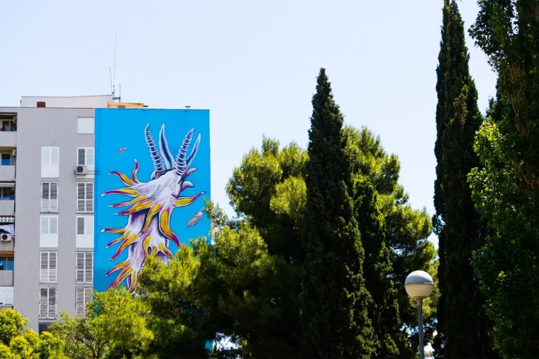 Dočekali su 'najvećeg malog morskog puža', oslikali im 300 metara četvornih veliku sliku pužića inače veličine tek 12 mm