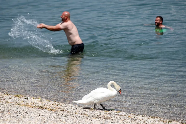 Hrvatska se prži: Pogledajte kako su se građani poku&scaron;ali rashladiti na sve načine