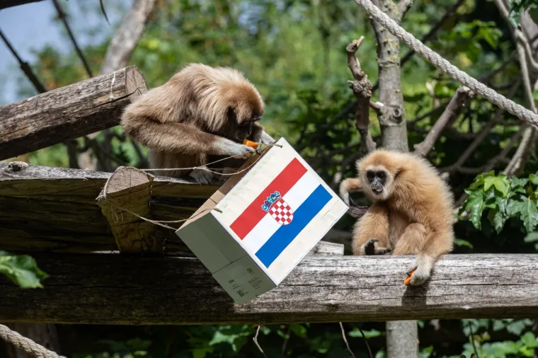 Hrvatska reprezentacija bi pobjedom nad Škotskom sigurno prošla u osminu finala na Euru.