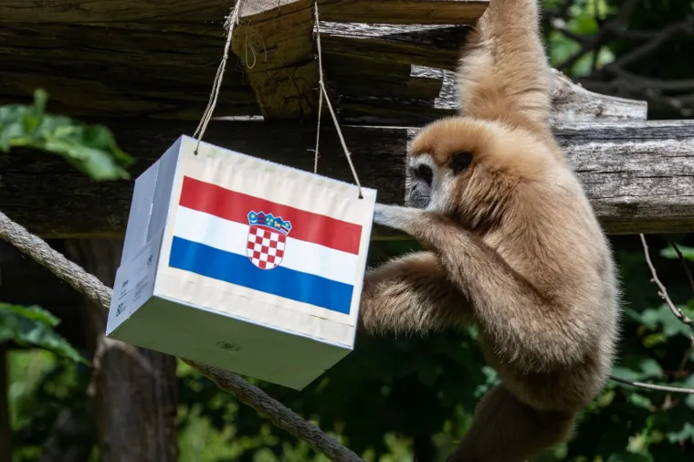 Kent prognozirao pobjedu Hrvatske protiv Škotske