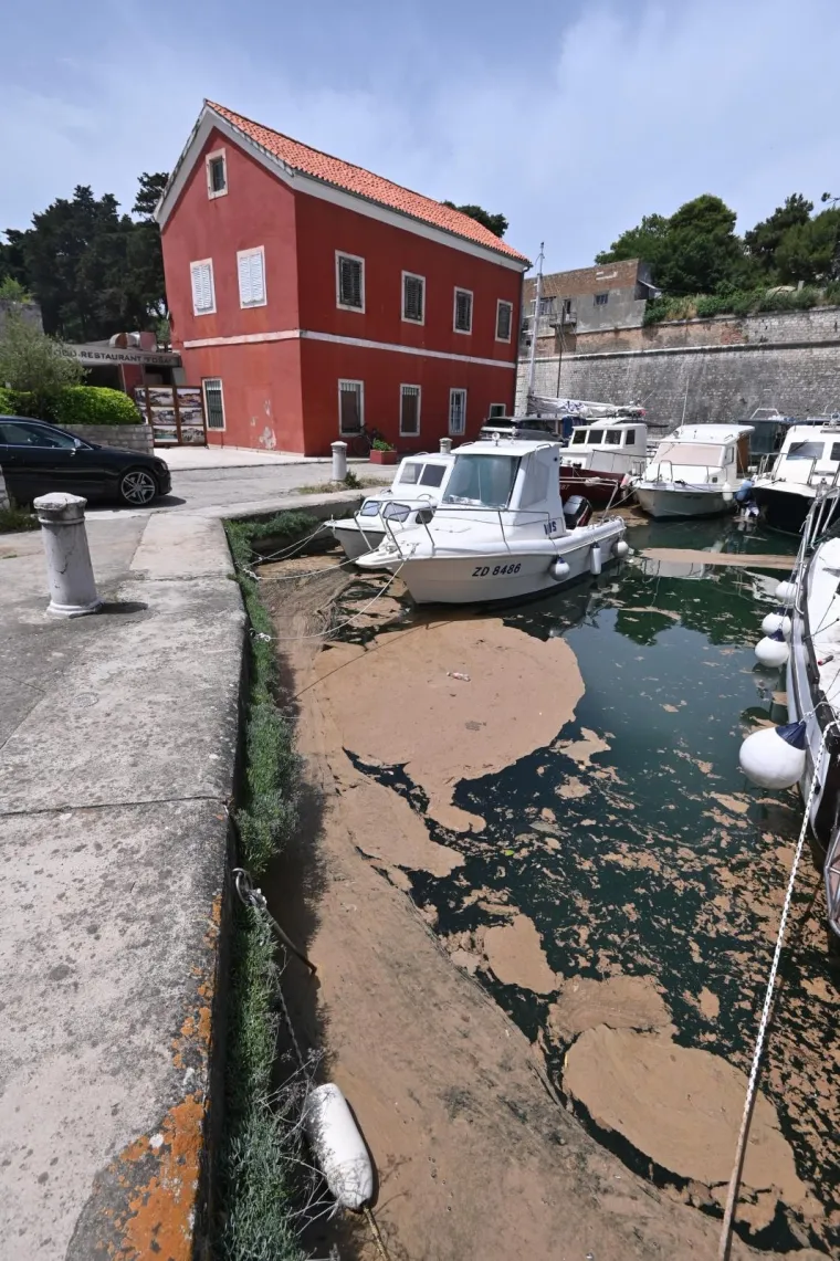 Neće samo (ne)procijepljenost pokvariti sezonu: Pogledajte &scaron;to se dogodilo u Zadru