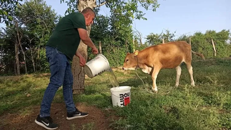 Sinjani užasnuti nehumano&scaron;ću! Akciji spa&scaron;avanja životinja priključio se i Miro Bulj: 'Ovo vi&scaron;e neću tolerirati'