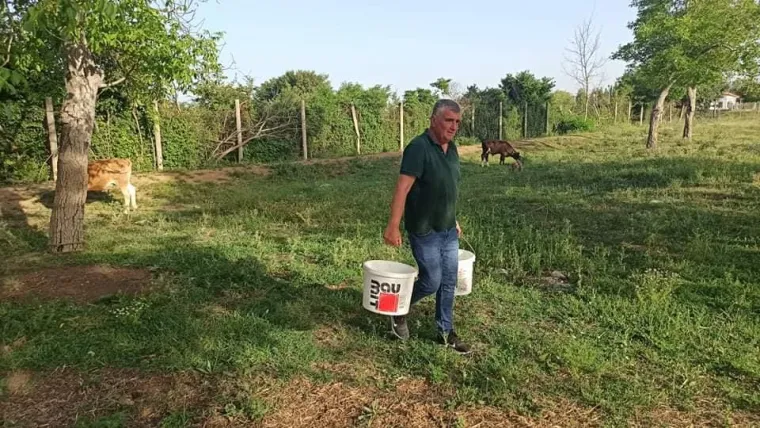 Sinjani užasnuti nehumano&scaron;ću! Akciji spa&scaron;avanja životinja priključio se i Miro Bulj: 'Ovo vi&scaron;e neću tolerirati'