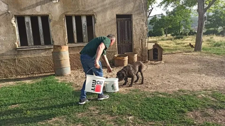 Sinjani užasnuti nehumano&scaron;ću! Akciji spa&scaron;avanja životinja priključio se i Miro Bulj: 'Ovo vi&scaron;e neću tolerirati'