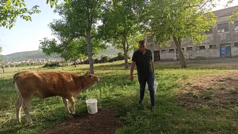 Sinjani užasnuti nehumano&scaron;ću! Akciji spa&scaron;avanja životinja priključio se i Miro Bulj: 'Ovo vi&scaron;e neću tolerirati'