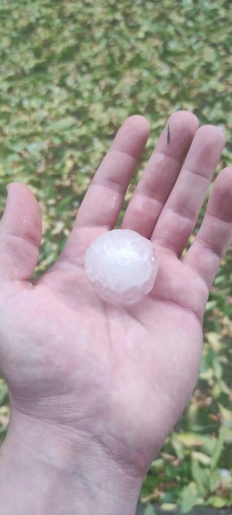 Nevrijeme u Požegi: Padao led veličine oraha i stanovnicima zadao probleme