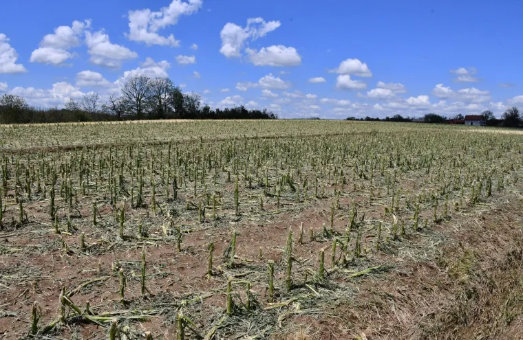 Pogledajte posljedice jučera&scaron;njeg nevremena u selu &Scaron;eovica i u prigradskim naseljima Požege