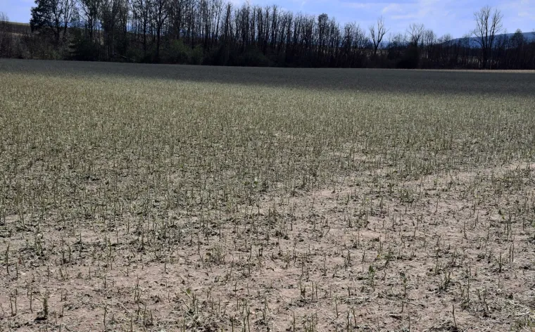 Pogledajte posljedice jučera&scaron;njeg nevremena u selu &Scaron;eovica i u prigradskim naseljima Požege