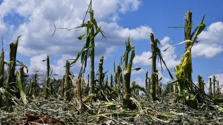 Foto:  Ivica Galovic/PIXSELL