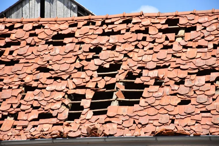 Foto:  Ivica Galovic/PIXSELL