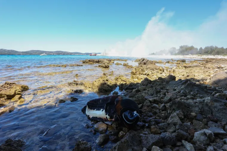 Zapalila se brodica kod Biograda na Moru, vatrogasci gase požar