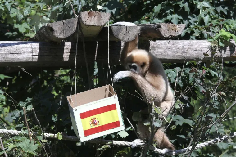 Kent odabrao pobjedu Španjolske nad Hrvatskom