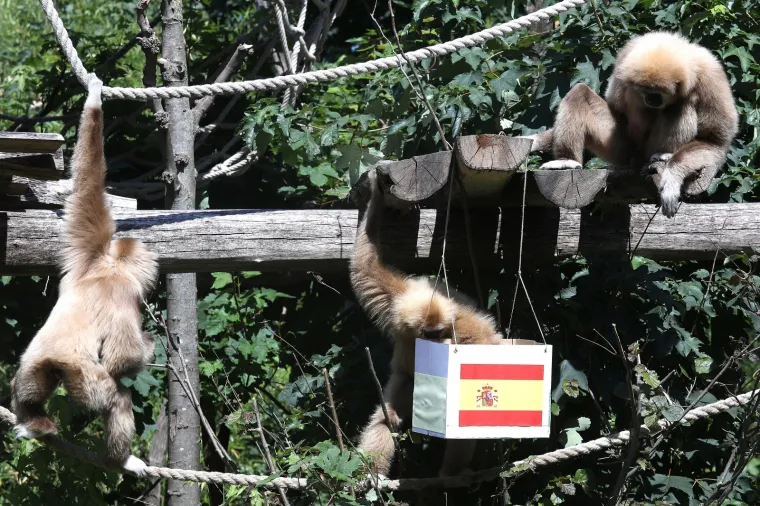 Kent odabrao pobjedu Španjolske nad Hrvatskom