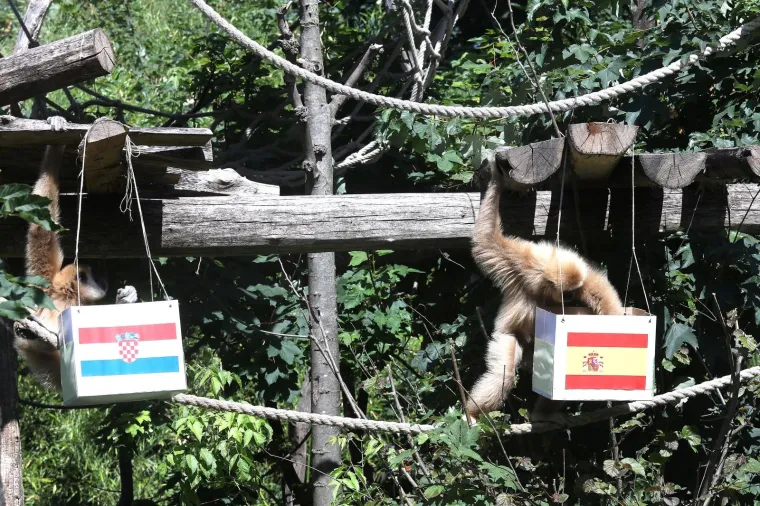 Kent odabrao pobjedu Španjolske nad Hrvatskom