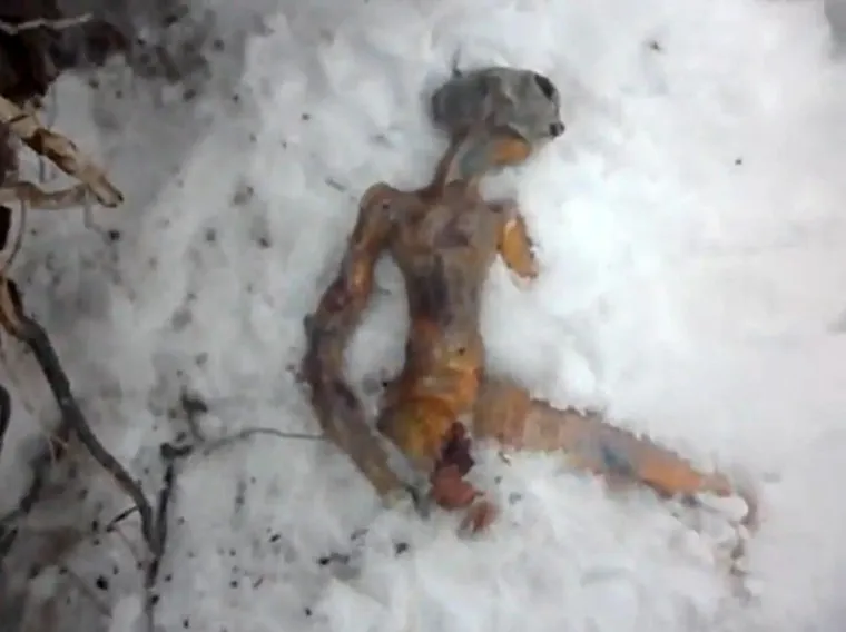 Prava NLO-groznica zahvtila je istok Rusije kada je navodno u Irkutsku pao leteći tanjur 2011. Snimke na dru&scaron;tvenim mrežama  navodno pokazuju i tijelo aliena.   Foto:Profimedia