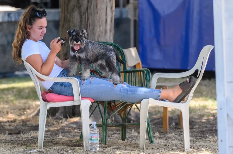 &Scaron;to bi rekao Mujo, samo da ne padne snijeg pa da ga moramo na ove vrućine bacati