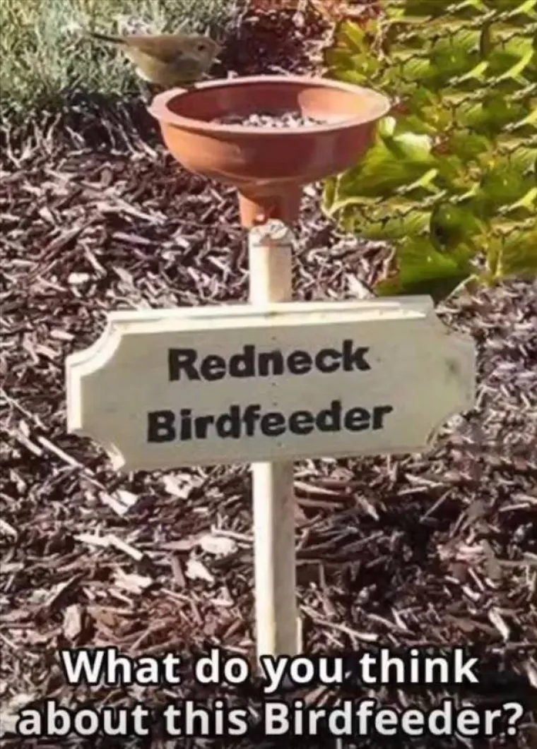 Ljudska inovativnost nema granica: Ponekad ipak poželimo da ima...