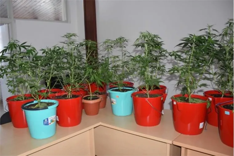 Crvene, plave, žute i zelene teglice, a imao je i svu opremu: Pogledajte &scaron;to je varaždinska policija prona&scaron;li u jednoj kući!