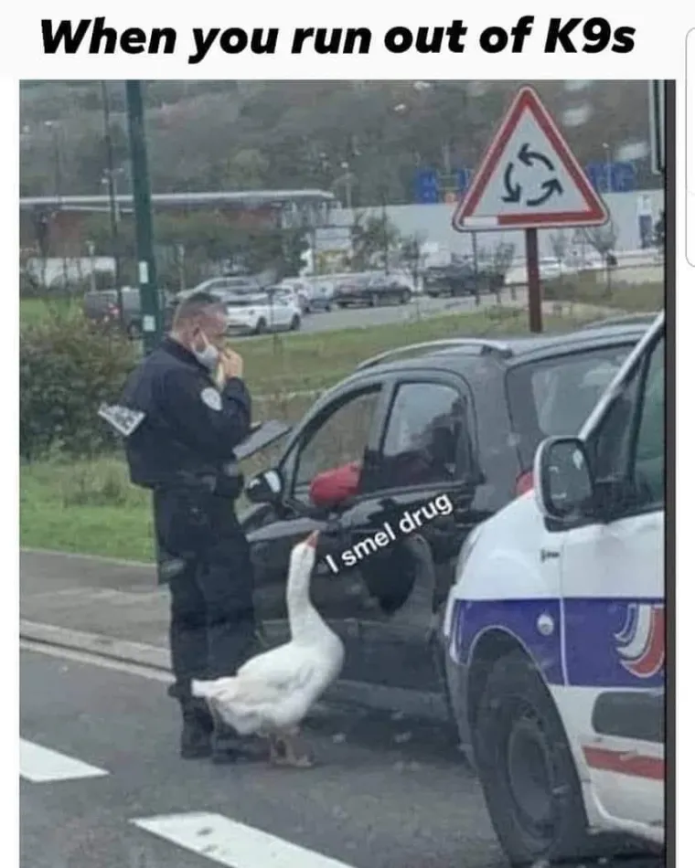 Pogledajte 70 urnebesnih 'simptoma' koji nedvojbeno ukazuju na to da ste okruženi Slavenima