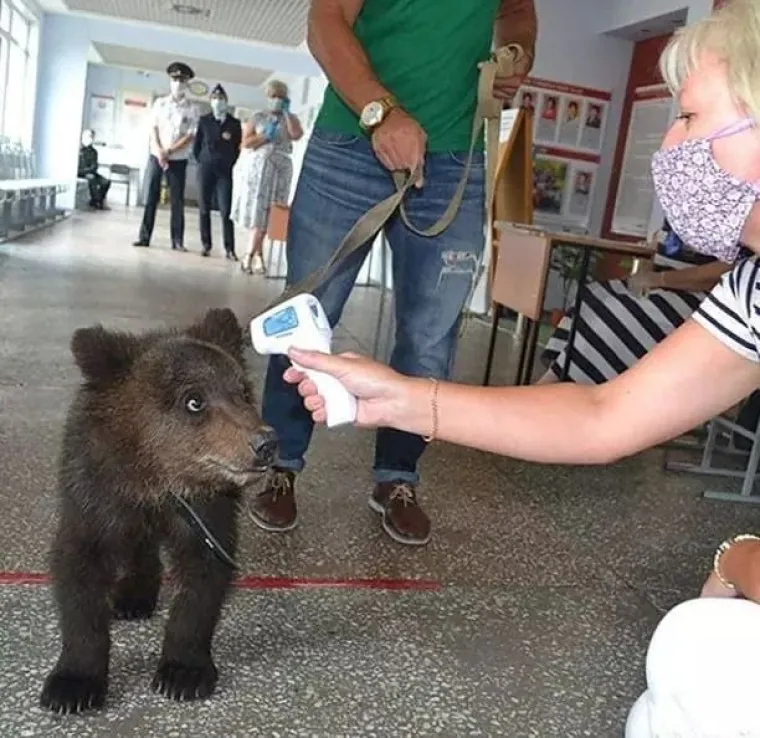 Pogledajte 70 urnebesnih 'simptoma' koji nedvojbeno ukazuju na to da ste okruženi Slavenima