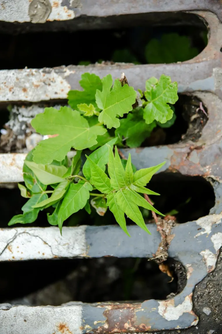 Da li su zagrebački šahtovi spremni za obilne kiše koje dolaze? Pogledajte fotografije