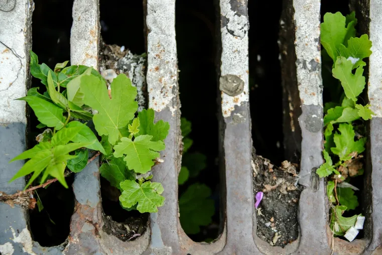 Da li su zagrebački &scaron;ahtovi spremni za obilne ki&scaron;e koje dolaze? Pogledajte fotografije