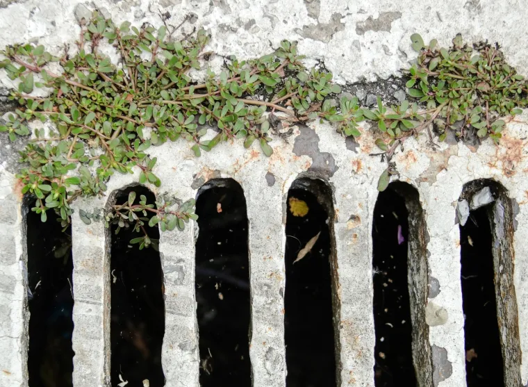 Da li su zagrebački šahtovi spremni za obilne kiše koje dolaze? Pogledajte fotografije