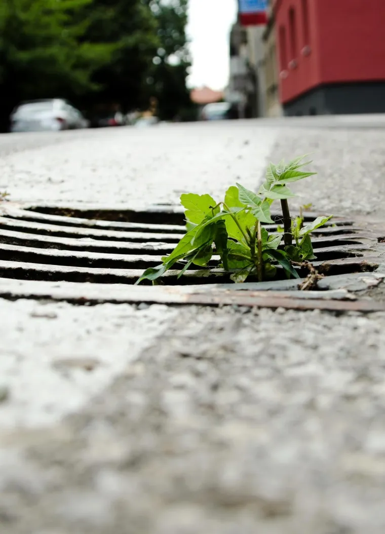 Da li su zagrebački šahtovi spremni za obilne kiše koje dolaze? Pogledajte fotografije