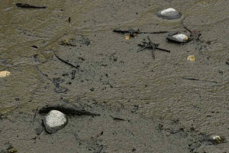 Počeli radovi u Maksimiru! Čistili mulj sa dna, a iz njega 'izronio' - stari bicikl!