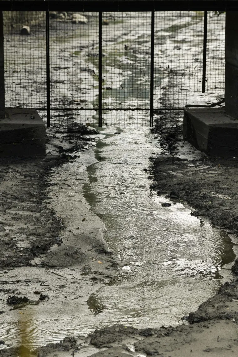 Počeli radovi u Maksimiru! Čistili mulj sa dna, a iz njega 'izronio' - stari bicikl!