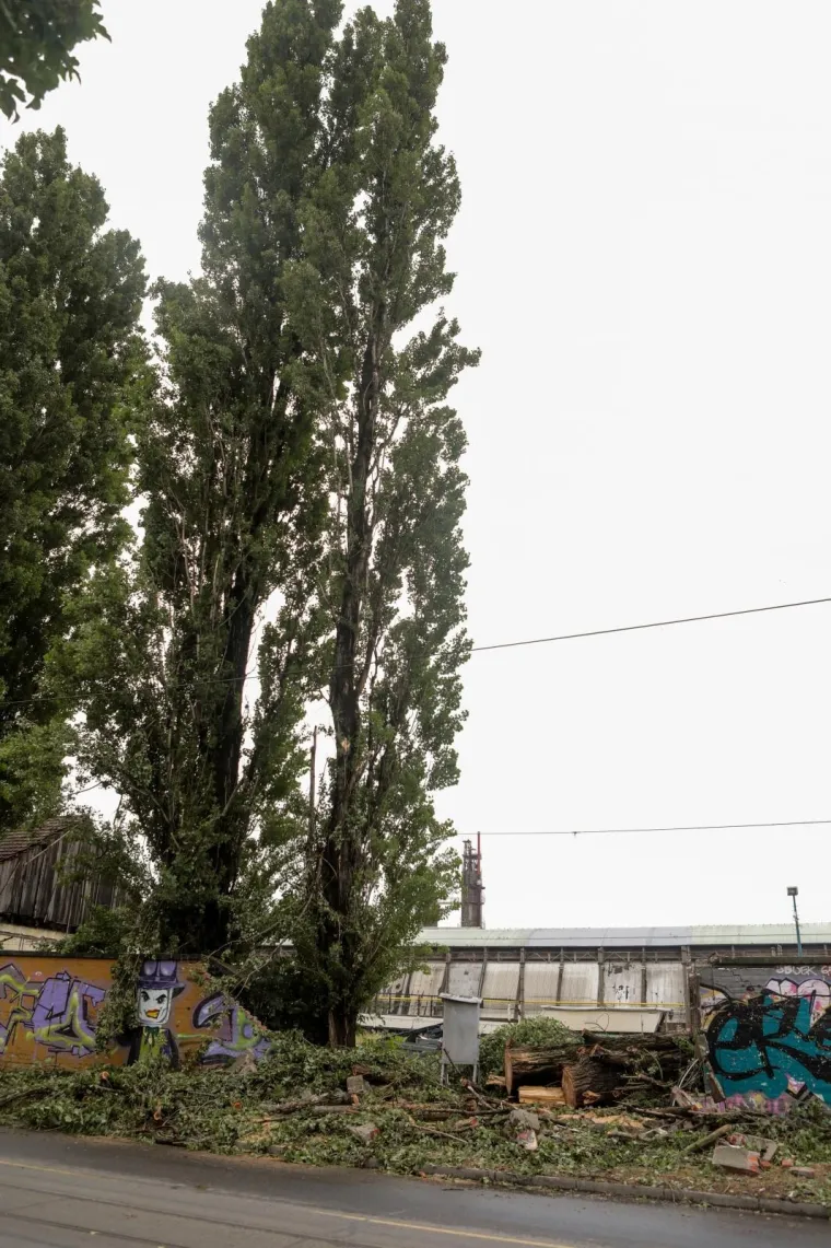 Jo&scaron; su vidljive &scaron;tete koje je napravilo olujno nevrijeme koje je za vikend pogodilo Osijek