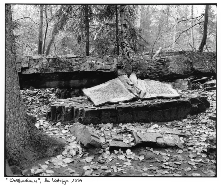 Čak su i zagriženi nacisti shvatili da F&uuml;hrer vodi Njemačku u propast: Odlučili su se na očajnički potez...