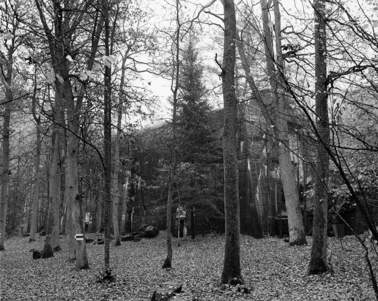 Čak su i zagriženi nacisti shvatili da F&uuml;hrer vodi Njemačku u propast: Odlučili su se na očajnički potez...