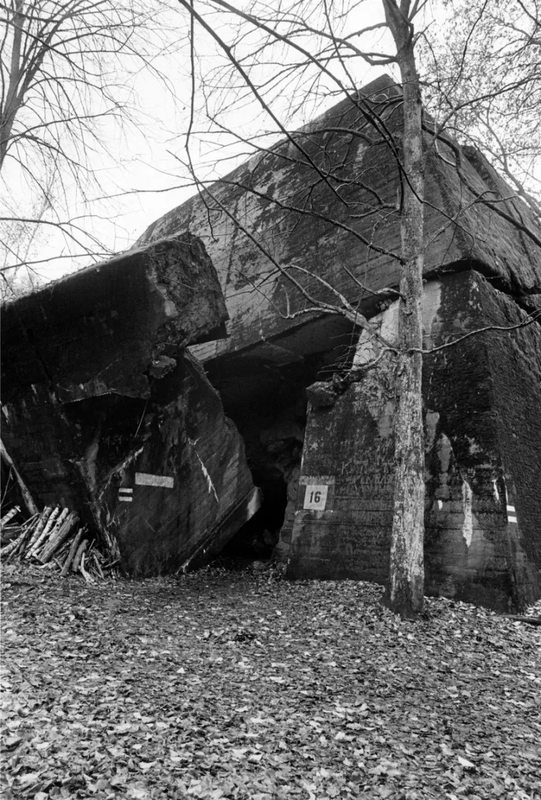 Čak su i zagriženi nacisti shvatili da F&uuml;hrer vodi Njemačku u propast: Odlučili su se na očajnički potez...