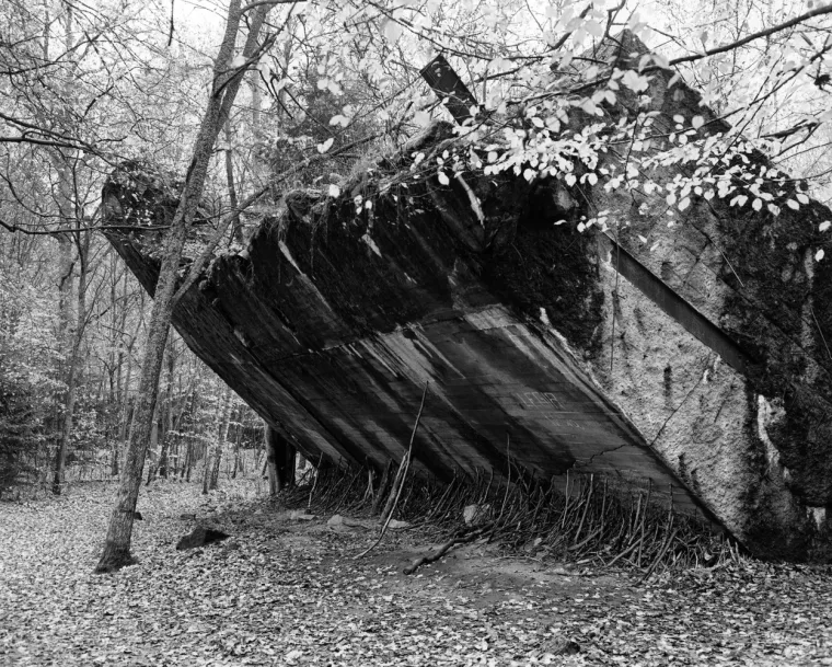 Čak su i zagriženi nacisti shvatili da F&uuml;hrer vodi Njemačku u propast: Odlučili su se na očajnički potez...