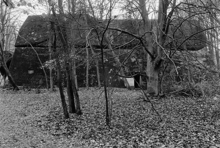 Čak su i zagriženi nacisti shvatili da F&uuml;hrer vodi Njemačku u propast: Odlučili su se na očajnički potez...