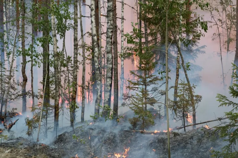 Divljaju požari po Sibiru, stručnjaci zgroženi 'zračnom apokalipsom' i zagađenjem 17 puta gorim od najgorih gradova Kine