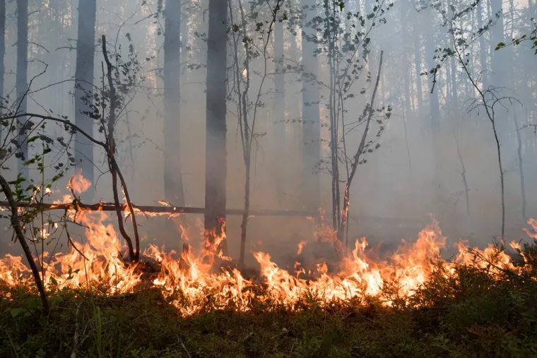 Divljaju požari po Sibiru, stručnjaci zgroženi 'zračnom apokalipsom' i zagađenjem 17 puta gorim od najgorih gradova Kine