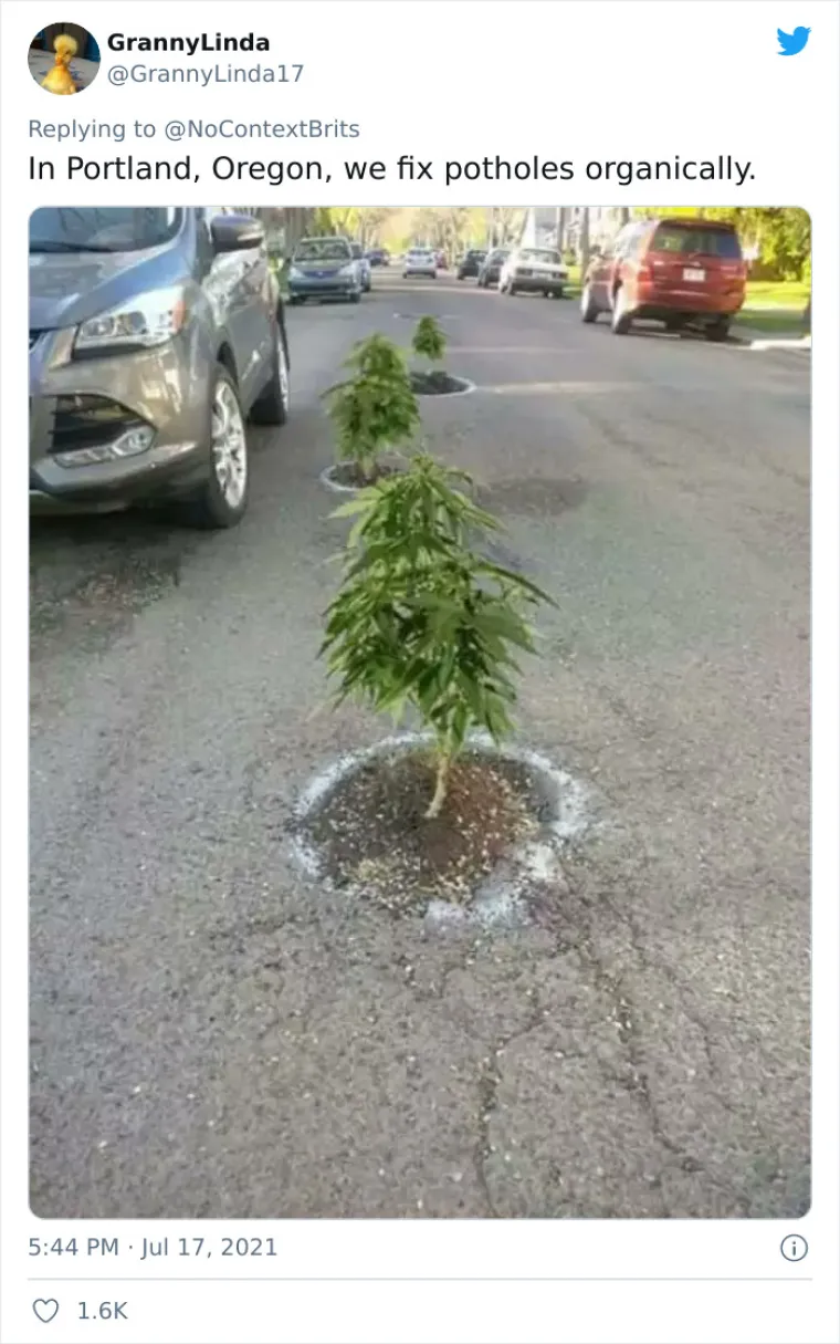 Korisnici Twittera birali najgore ceste diljem svijeta, hrvatski kandidat izborio sjajan plasman!